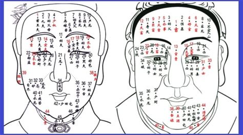 痣為什麼會長毛|痣為什麼會長毛？了解痣與毛髮的關係與原因